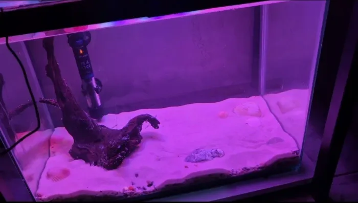 Aquario 30L