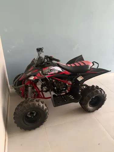 Quadriciclo Alpha Cross 125CC - Gasolina