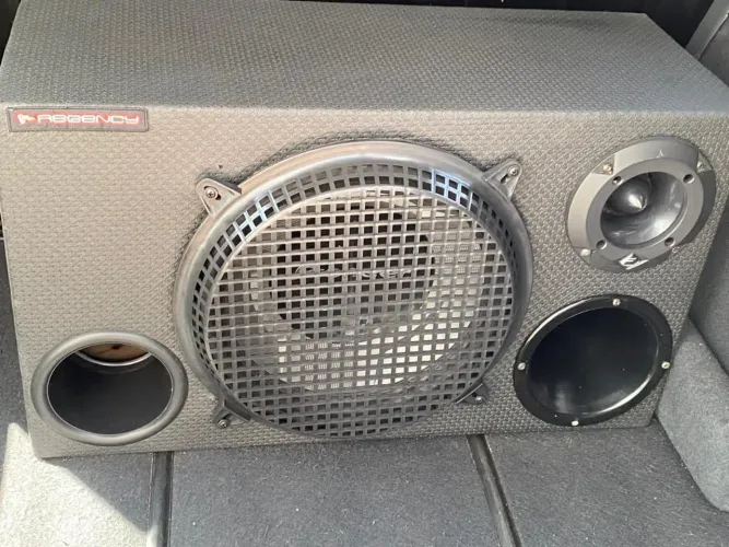Som Automotivo Pioner 350W RMS 12 Polegadas Subwoofer