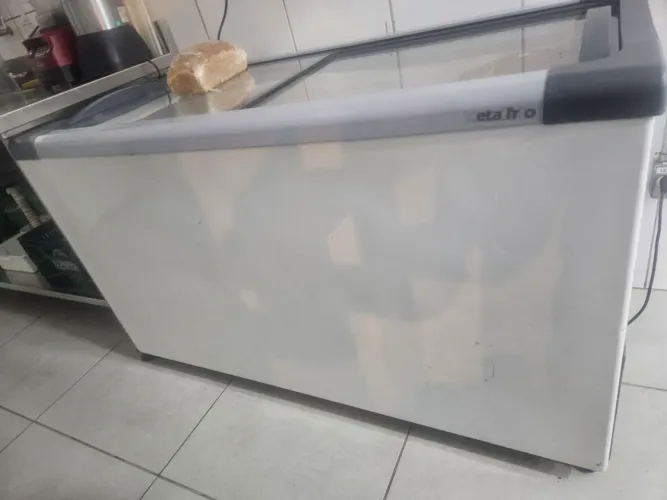 Freezer horizontal