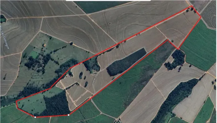 Sítio Santa Maria - Tabapuã - SP, 18,61 Alqueires com 80% de área produtiva,