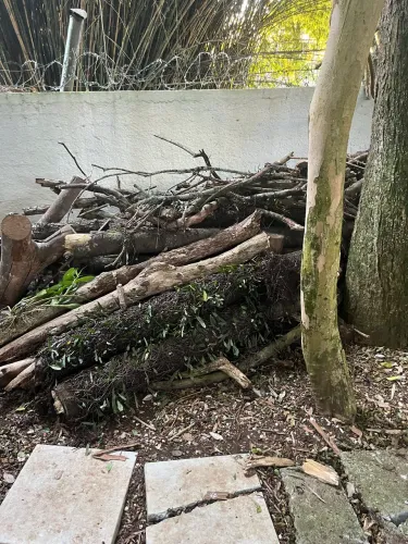 Vendo +- 4 metros cúbicos de lenha de pinheiros secos
