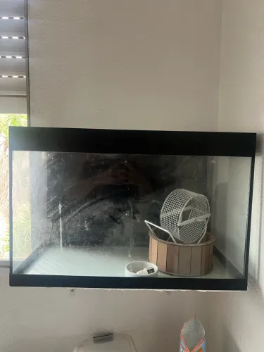 Aquário 72 litros