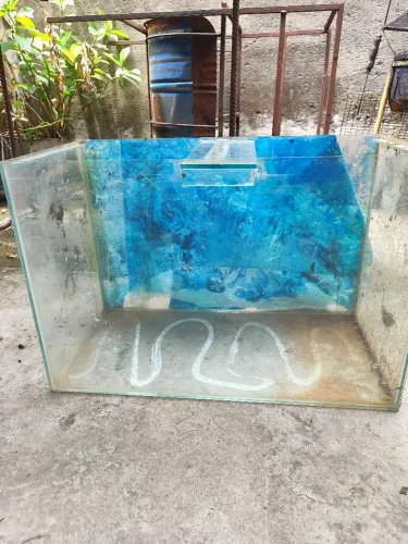 Aquário 
