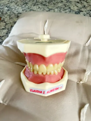Manequim Odontológicos-Orais