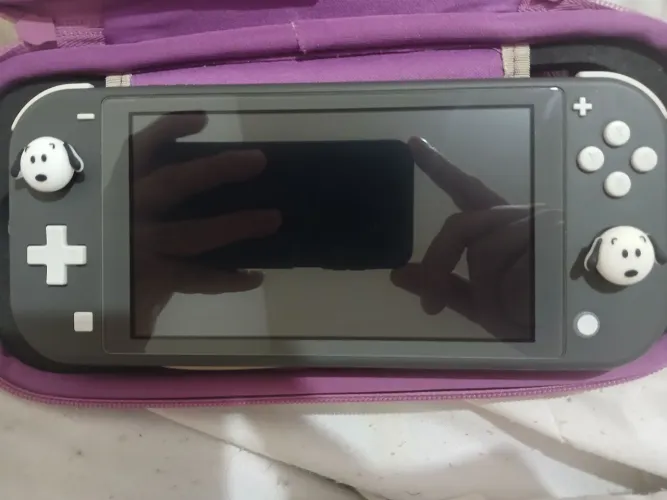 Nintendo switch lite + case PowerA