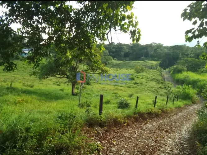 Oportunidade imperdível! Fazenda à Venda, rural , Barro Preto, Para clientes existentes.