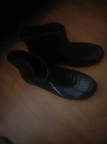 Bota