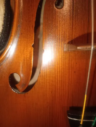 Eselente timbre ajustado por profissional 