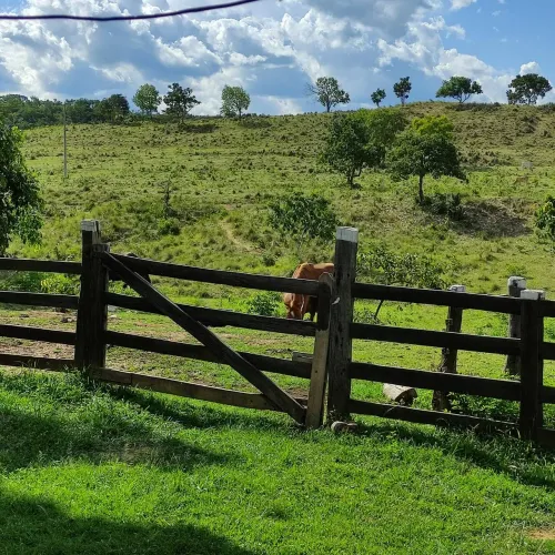 Vende-se Fazenda com 134 hec na BR 070 Poconé