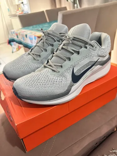 Tenis nike winflo11