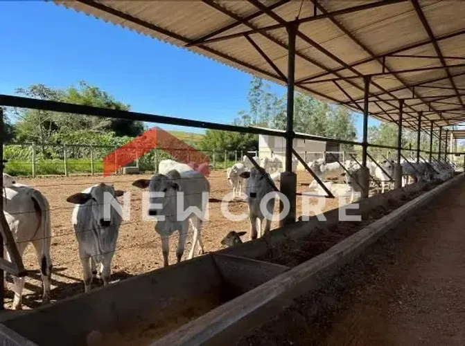 Fazenda em Estrada Municipal Capitão Oscar Francisco de Sales - Chácara Marambaia - Caçapa