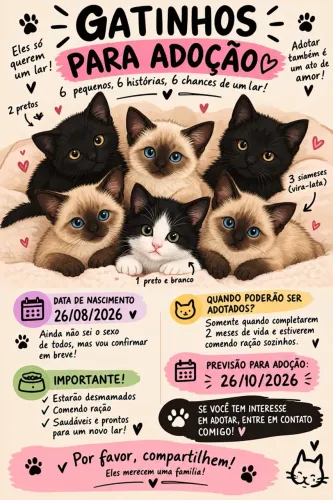 ? GATINHOS PARA ADOÇÃO RESPONSÁVEL! ?