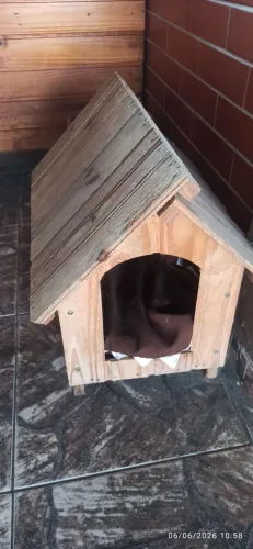 Casinha Pet Madeira