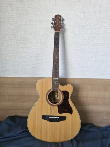 Strinberg SA-20C ler descrição