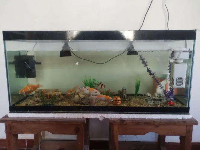 Aquário completo de 100 litros