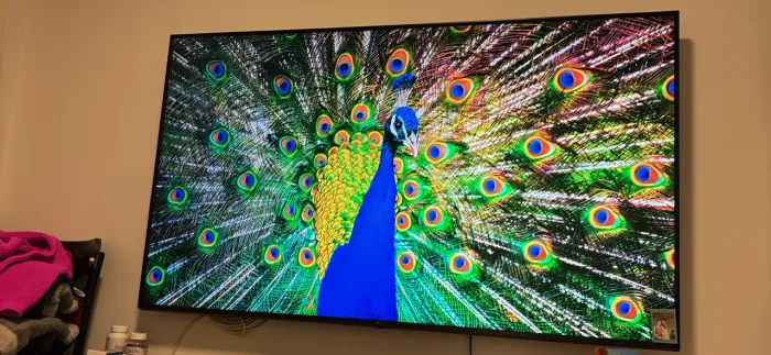 Tv 65 smart 4k LG