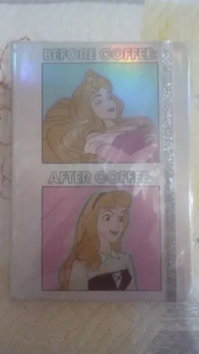 Caderno da Bela adormecida 