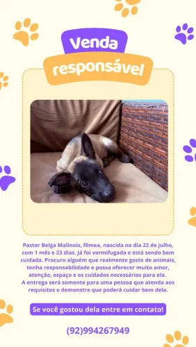 Venda Responsável