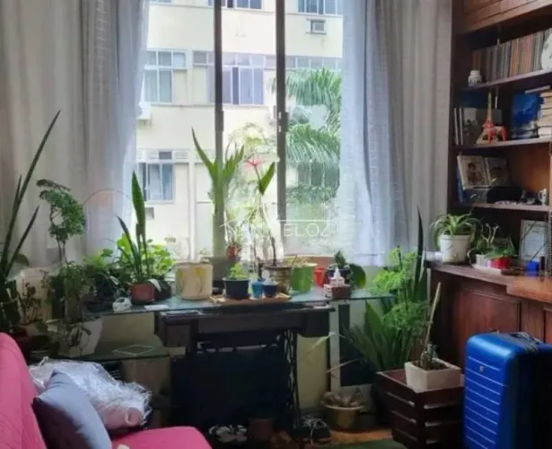 Apartamento : / Residencial / Flamengo