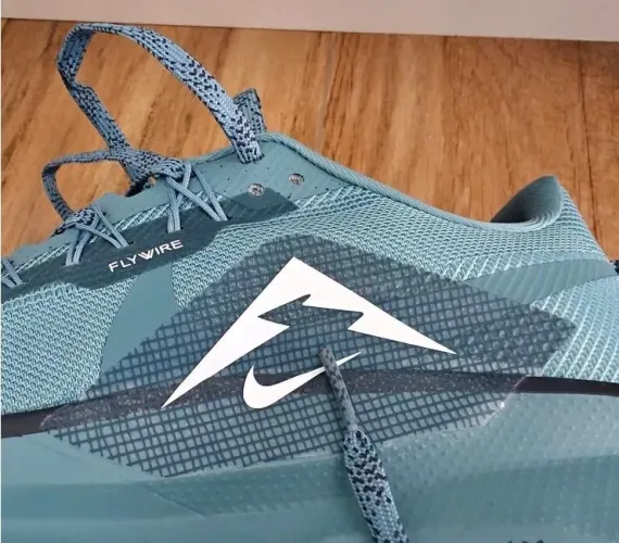 Tênis nike Pegasus Trail 5 masculino 43