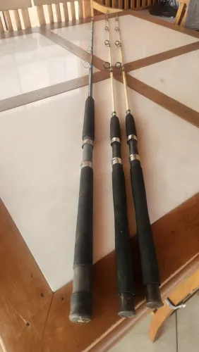 Varas de pesca 