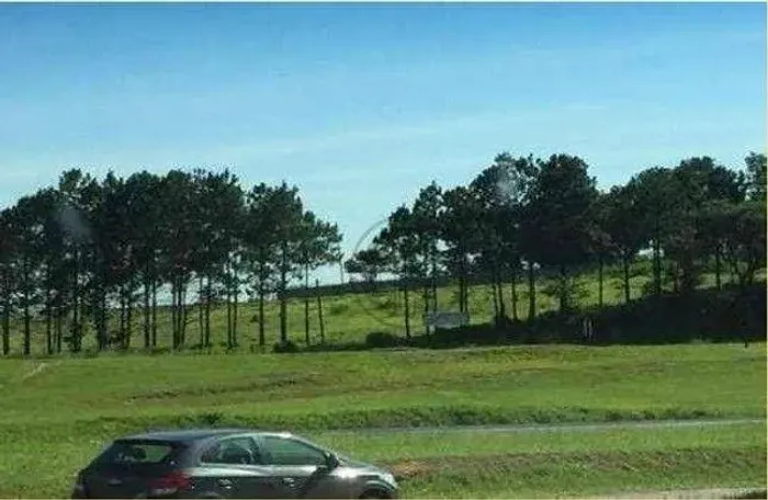 Terreno, 10900 m² - venda por R$ 3.900.000,00 ou aluguel por R$ 10.000,00/mês - Castelo Br