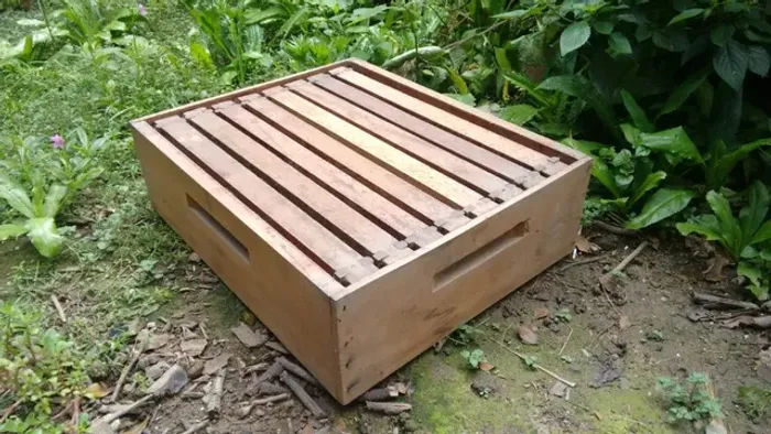 Melgueira de Louro Canela