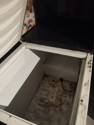 Freezer Horizontal - Ideal para sua casa granja ercComércios