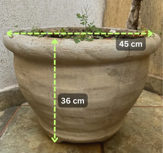 Vaso grande circular de concreto com terra adubada