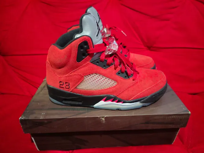 Air Jordan 5 Toro Bravo 