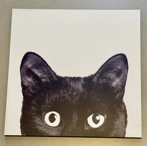 Placa em MDF gato preto no fundo branco 20x20cm