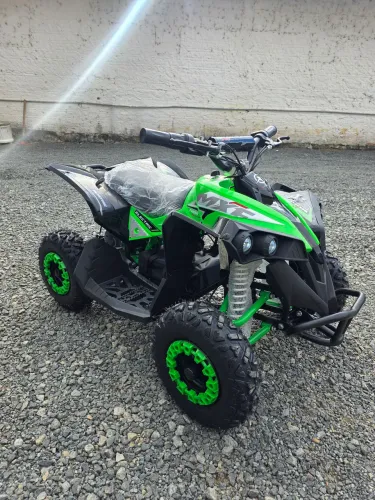 Quadriciclo Thor Elétrico