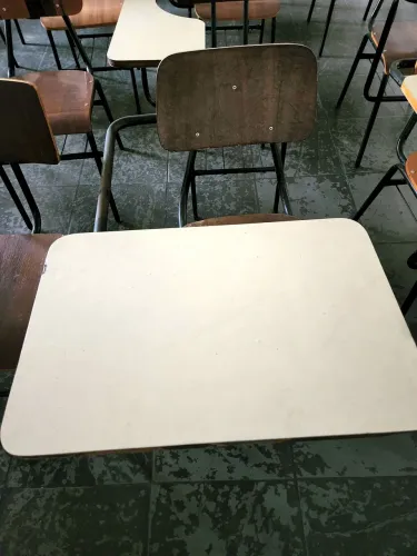 50 CARTEIRAS ESCOLAS Á 5 REAIS CADA. 