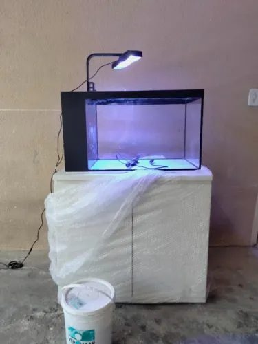 Aquário 80x40x40 com sump interno Luminaria , skimmer , substrato é móvel