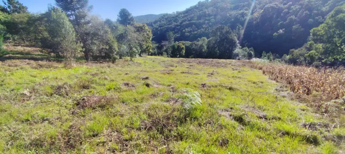 Chácara em Bocaiúva do sul
