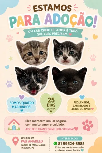 Filhotes para adoção