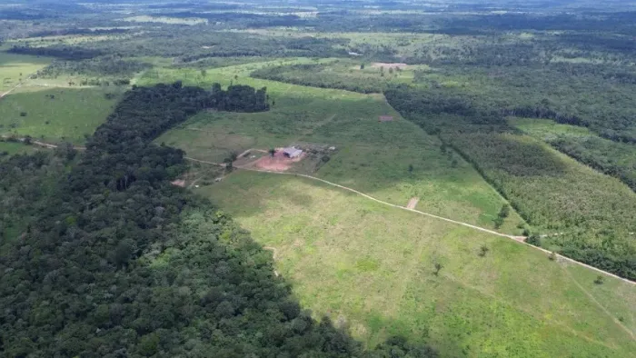118 hectares com 52 hectares abertos há 38 km de Castanhal R$ 1.550.000