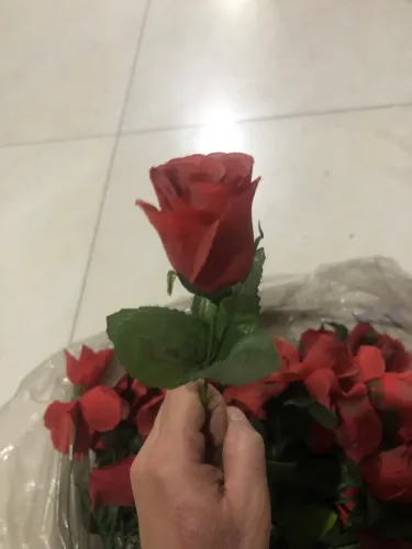 Lote Rosas de Plástico