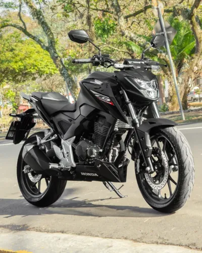 Honda Cb 300F Twister Flex