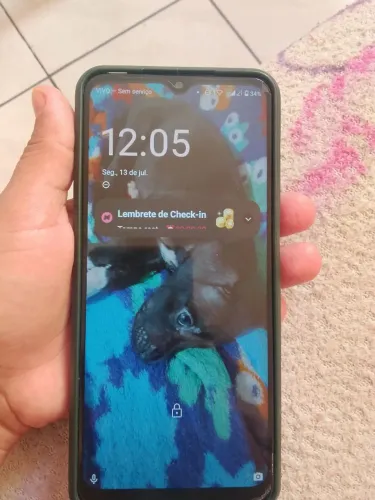 Celular