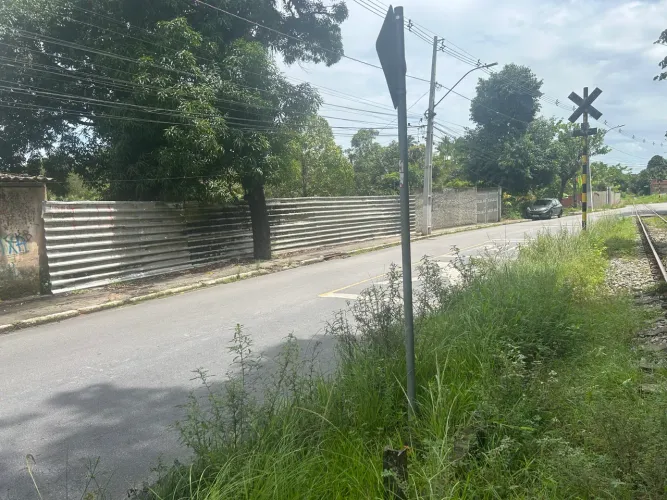 Vende-se Sitio em Fernão Velho
