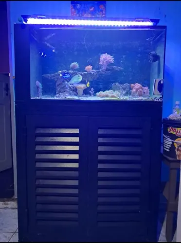 Aquario marinho