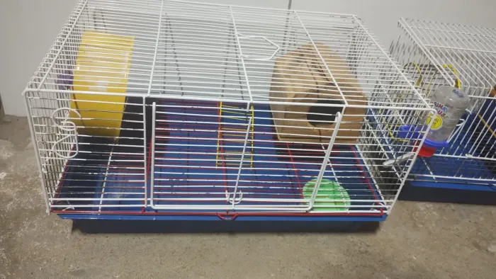 Gaiolas para hamster e roedores 
