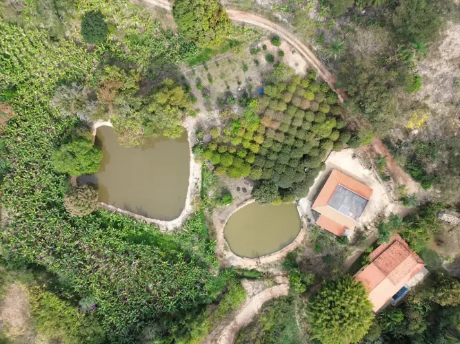 SÍTIO DOS SONHOS EM RAVENA: 21.000 m² DE PURA NATUREZA, ÁGUA ABUNDANTE E FARTURA EM FRUTÍF
