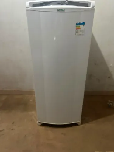 Freezer vertical