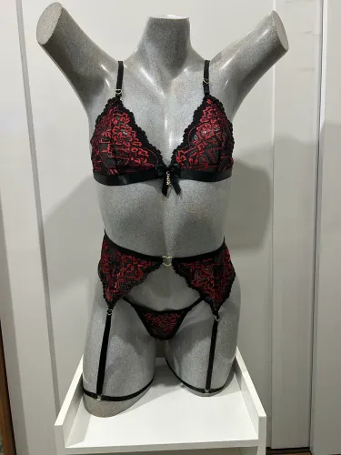 Conjunto indomável