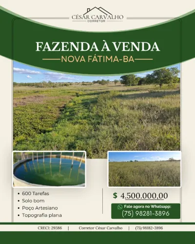 FAZENDA EM NOVA FÁTIMA - 600 TAREFAS