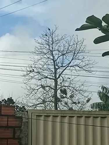 Vendo ou troco casa em marituba decouville peti