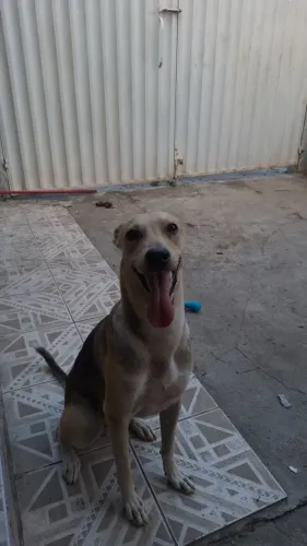 Doação 